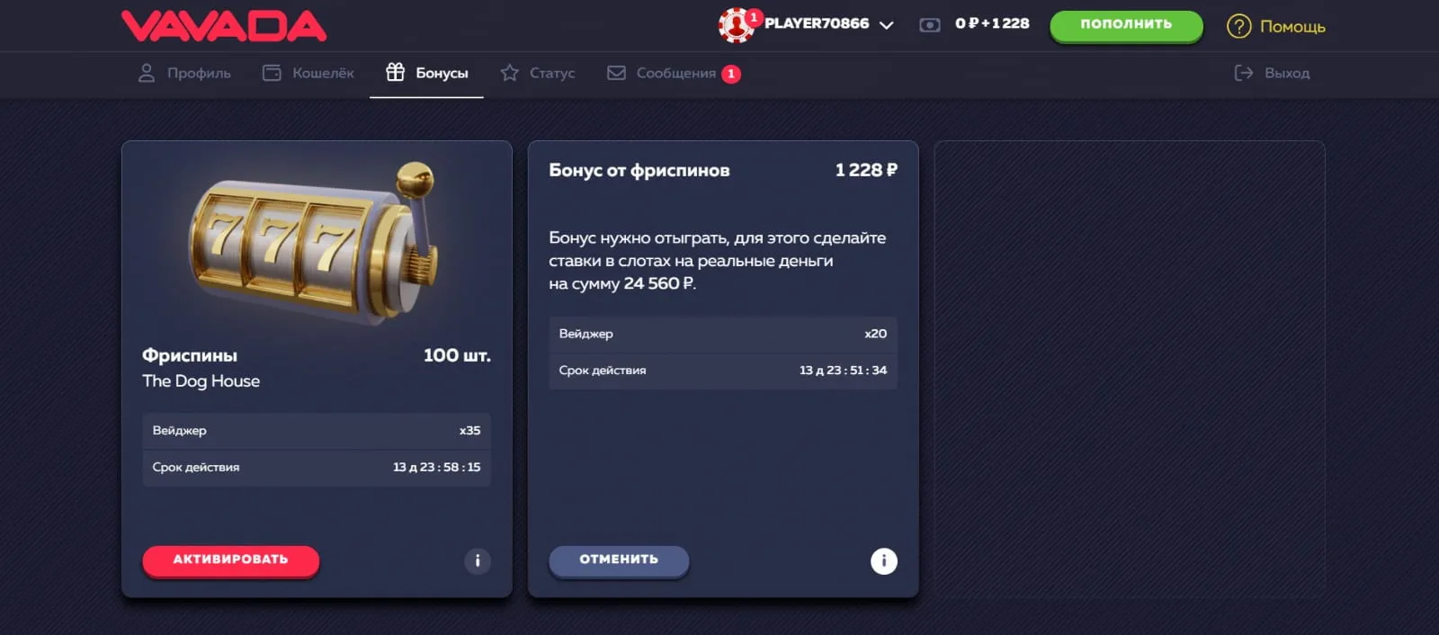 Раздел Бонусы Вавада